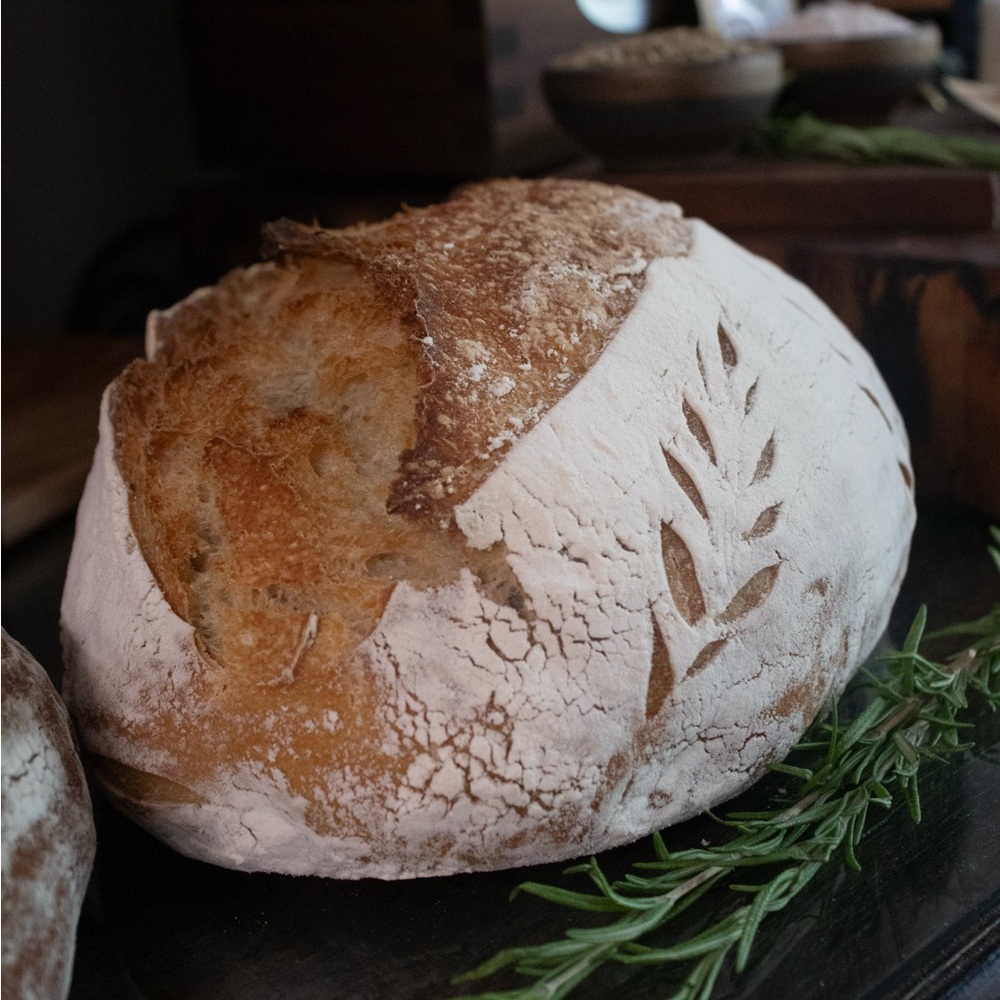 USDA Organic 200+ Year Old Historic Sourdough Rye Starter GLYPHOSATE FREE!